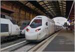 tgv-m-avelina-horizon/841173/was-ganz-neues-der-tgv-m Was ganz neues: Der TGV M Avelina Horizon Rame 997 mit den Triebköpfen TGV 21 015 und 21 016 ist auf Probefahrt und fährt durch Strasburg in Richtung Mulhouse. Ab 2025 ist der Plan-Einsatz der Züge geplant.

12. März 2024