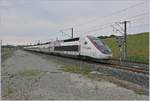Der schnellste Zug der Welt: Der TGV 4402 erreichte am 3. April 2007 574.8 Km/h pro Stunde- Weltrekord! Hier erreicht der Zug als TGV 9206 von Zürich nach Paris den Bahnhof Belfort Montbéliard TGV. 

6. Juli 2019
