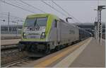 e-494/817574/die-captrain-494-504-faehrt-mit Die Captrain 494 504 fährt mit einem Güterzug durch den Bahnhof von Rho Fiera. 

24. Feb. 2023