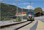 Zwei Trenord ETR 425 warten im gepflegten Bahnhof von Porto Ceresio auf die Abfahrt nach Milano Porta Garibaldi.

21. September 2021