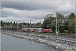 br-1116-es-64u2-1525kv/912791/eine-oebb-1116-verlaesst-mir-ihrem Eine ÖBB 1116 verlässt mir ihrem Doppelstock-Regionalzug Lindau Insel in Richtung Bregenz. 

17. Sept 2024