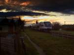 OLA VT 0003 am 23.11.09 bei Torgelow  ...