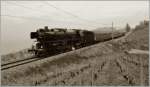 Die wunderschöne 01 202 mit ihrem Alpine Steam Express auf der bis zu 39,7 Promille geneigten Strecke von Chexbres nach Vevey.