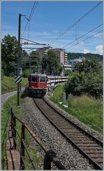 Die SBB Re 4/4 II 11135 mit ein IR nach Zürich bei Neuhausen am Rheinfall.
18. Juni 2016