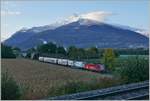 Die SBB Re 4/4 II in ihrer gefälligen Swiss Pass Lackierung erreicht auf ihrer Fahrt in Richtung Lausanne den Bahnhof von St-Triphon. Das Gleis im Vordergrund gehört zur TPC Strecke Monthey - Aigle.

12. Okt. 2020