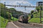 re-425-re-4-4-der-bls/346129/es-gab-ganz-im-sueden-der Es gab ganz im Süden der Schweiz überraschend viel 'BLS' zu sehen: hier erreichen zwei BLS Re 4/4 mit einem Güterzug den Haltepunkt 'Lugano Paradiso'. 
5. Mai 2014