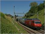 re-460-re-4-4-vi/209778/sbb-re-460-002-9-mit-ic SBB RE 460 002-9 mit IC nach St. Gallen zwischen Bossire und Grandvaux. 
18. Juli 2012
