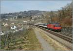 re-460-re-4-4-vi/298002/eine-re-460-mit-einem-ir Eine Re 460 mit einem IR nach Luzern zwischen Bossire und Grandvaux. 
10. Mrz 2011