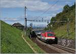 Die SBB Re 460 065-6 mit einem IR nach Luzern zwischen Bossiere und Grandvaux.6.