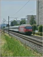 re-460-re-4-4-vi/83377/sbb-re-460-102-7-historic-mit SBB RE 460 102-7 'Historic' mit IR nach Konstanz bei Grenchen am 10. Juli 2010.
