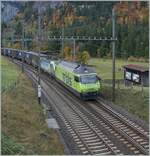 Die BLS Re 465 009 und eine Re 475 sind kurz vor Kandersteg mit einem Güterzug in Richtung Spiez unterwegs.