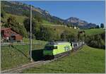 Die BLS Re 465 002-4 (UIC 91 85 4465 002-4) ist bei Enge im Simmental mit ihrem GoldenPass Express GPX 4065 von Interlaken Ost nach Montreux unterwegs.