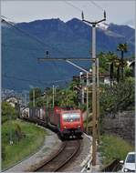 re-474-es-64f4-/559457/die-sbb-re-474-014-mit Die SBB Re 474 014 mit einem Güterzug Richtng Luino bei S-Nazzaro.
20. Mai 2017