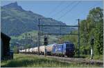 re-475-2/735848/die-wrs-475-901-ist-mit Die WRS 475 901 ist mit einem Kesselwagenzug bei Mülenen unterwegs.

14. Juni 2021