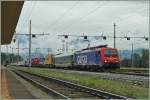 re-485-traxx-f140ac1/355078/nun-ist-fuer-die-weiterfahrt-nach Nun ist für die Weiterfahrt nach Novara die richtige Lok am Zug. 
Domosossola, den 2. Juli 2014