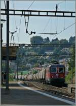 Im Gegenlicht: Re 6/6 11629 mit dem  Spaghetti  Zug in Lutry. 
2. Aug. 2011