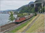 Kurz danach erscheint die SBB Re 6/6 11685 (Re 620 085-1)  Sulgen  mit ihrem Güterzug auf  der Fahrt in Richtung Wallis. 

24. Juli 2020