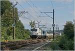 Die Rail Care Rem 476 453-6 VAUD (UIC 91 85 4476 43-6 CH-RLC) verlässt mit ihrem Coop Containrer Zug Vufflens la Ville in Richtung Genève La Praile    29.