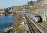 Ein Klassiker neu aufgelegt: TGV Lyria bei Rivaz. 
22.01.2011