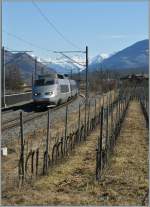 Lyria/125283/tgv-de-neige-von-brig-nach TGV de neige von Brig nach Paris bei Salgesch am 5. Mrz 2011