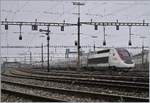 Lyria/652869/nur-kurz-bei-der-vorbereitung-im Nur kurz, bei der Vorbereitung im Rangierbahnhof Biel als TGV Bern - Paris 9216 zeigt der TGV 4415 das Drei-Spitzen Signal; die Fahrt nach Bern wird dann ohnehin in die Gegenrichtung gehen. 

5. April 2019