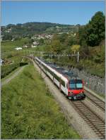 Ein Domino als S 21 von Payerne nach Lausanne am 10. Mrz 2010 zwischen Bossire und Grandvaux.