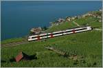 Seit ende Mai ist statt des  Train des Vignes  ein  Domino  als S31 in den Rebbergen bei Chexbres unterwegs.