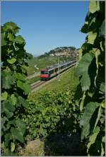 NPZ (statt dem gelben  Train des Vignes) zwischen den Reben des Lavaux.