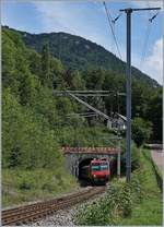 560-npz-und-domino/675344/der-rbde-562-004-2-als-re Der RBDe 562 004-2 als RE 18124 von Neuchâtel nach Frasne bei der Einfahrt in Champs-du-Moulin, eine Station, die der RE ohne Halt durchfährt. 13. August 2019