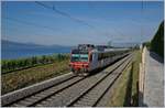 560-npz-und-domino/705525/ein-sbb-rbde-560-domino-als Ein SBB RBDe 560 Domino als Regionalzug auf der Fahrt Richtung Lausanne kurz vor La Conversion. 

14. Juli 2020