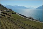 In der weiten Landschaft von See und Rebbergen fährt bei Cully ein SBB ETR Richtung Lausanne.
6 April 2015