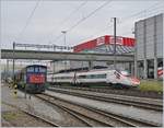 Ein SBB ETR 610 mit  Werbung  zur beschleunigten Verbindung nach München fährt in Sursee als EC 158 von Milano nach Basel SBB durch.