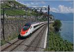 Langsam kommt auch der Italien-Verkehr wieder ins Rollen: Der SBB RABe 503 011-3 (UIC 93 85 1 503 011-3 CH-SBB) als EC 39 auf der Fahrt von Genève nach Milano bei St-Saphorin.

23. Juli 2020