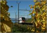 Herbst in den Weinbergen: Ein SBB Flirt RABe 523 auf der Fahrt Richtung Lausanne bei Cully.