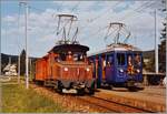 av-ex-wsb-ex-aar/831366/fuer-den-geschsellschaftsverkehr-hielt-die-wsb Für den Geschsellschaftsverkehr hielt die WSB zwei Züge vor: 'S' farbige Bähnli' (links) und 's'blaue Bähnli' rechts. Beide zeigen sich im Sommer in Gontenschwil.

14. Juli 1984