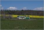 Ein BAM Regionalzug von L'Isle nach Apples fährt schon fast am Ziel durch eine blühende Frühlingslandschaft kurz vor Appples.