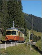 Der BLM Be 4/4 21 auf der Fahrt nach Grütschalp kurz nach Winteregg. 
28. Aug. 2014