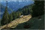 Schon fast ein Zugsuchbild mit dem kleinen BLM Triebwagen in der grandiosen Bergwelt der Jungfrau-Region in der Nähe der Gütschalp.