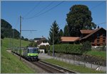 bls-lotschbergbahn/514332/bls-re-44-501-mit-einem BLS Re 4/4 501 mit einem GoldenPass RE bei Faulensee.
14. August 2016