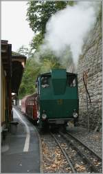 Die Brienzer Rothorn Bahn an ihrem Ausgangspunkt in Brienz.