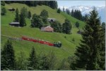 BRB/507589/ein-brienz-rothorn-bahn-brb-dampfzug Ein Brienz Rothorn Bahn (BRB) Dampfzug auf Talfahrt kurz nach Planalp.
7 Juli 2016