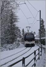 Während einer Schneefallpause ist der CEV MVR ABeh 2/6 7507 kurz nach der Haltestelle Château de Blonay auf dem Weg nach Vevey.

25. Jan. 2021