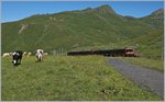jb-jungfraubahn/512083/zwei-bhe-48-auf-bergfahrt8-august Zwei Bhe 4/8 auf Bergfahrt.
8. August 2016