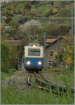 mob-goldenpass/238269/auf-80-cm-von-montreux-auf Auf 80 cm von Montreux auf den Rochres de Naye: Ein Beh 2/4 Triebwagen als Schlerzug bei Les Panches.
5. April 2012