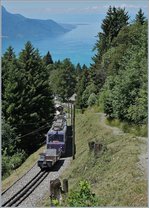 mob-goldenpass/513729/kurz-oberhalb-von-haut-de-caux-faehrt-der Kurz oberhalb von Haut-de-Caux fährt der Rochers de Naye Bhe 4/8 303 mit zwei Vorstellwagen bergwärts.
28. Juni 2016