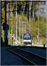 Ein MOB  Alpina -Triebzug erreicht Les Cases.
11. Okt. 2017