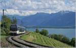 mob-goldenpass/703787/der-mvr-abeh-26-7504-ist Der MVR ABeh 2/6 7504 ist als Regionalzug kurz nach Planchamp nach Montreux unterwegs.

29. Juni 2020