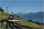 Ein MOB Alpina-Zug auf der Fahrt nach Montreux vor dem Hintergrund der Dents de Midi bei Planchamps.