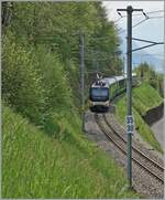 DieMOB Ge 4/4 8004 ist kurz nach Chamby mit dem  Golden Pass Express von Zweisimmen nach Montreux unterwegs.