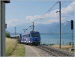 Die Ge 4/4 8001 ist mit dem GPX bei Châtelard VD auf dem Weg nach Interlaken Ost.

16. Juni 2023